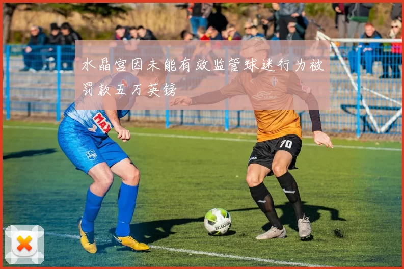 水晶宫因未能有效监管球迷行为被罚款五万英镑
